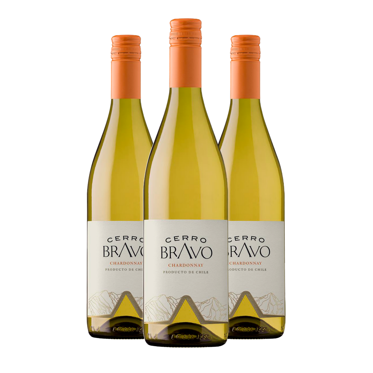 Kit 3 Cerro Bravo Chardonnay