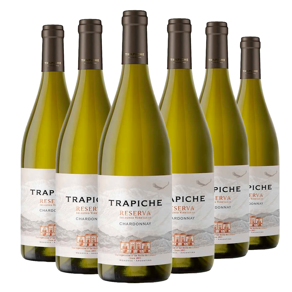 Kit 6 Trapiche Reserva Chardonnay