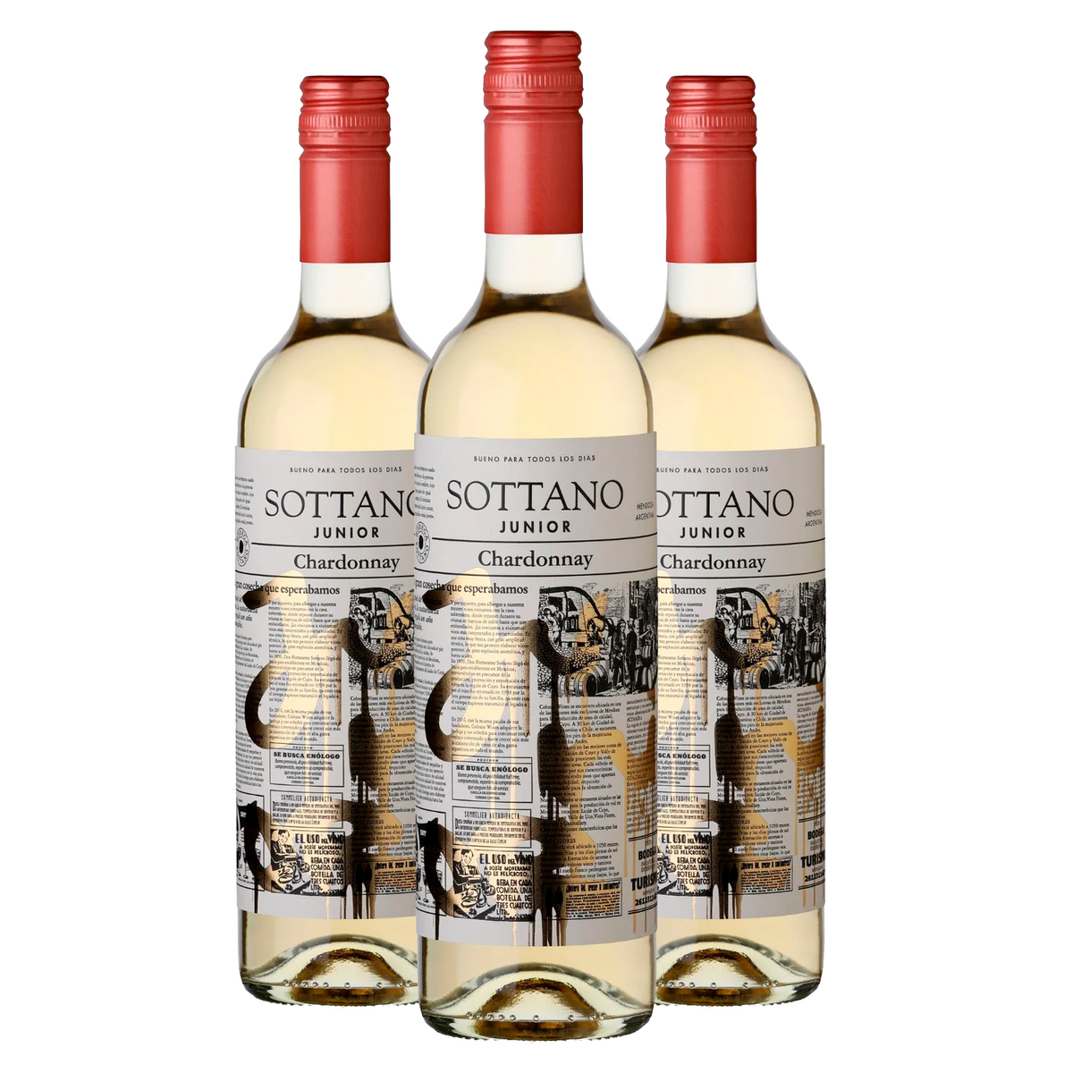 Kit 3 Sottano Junior Chardonnay