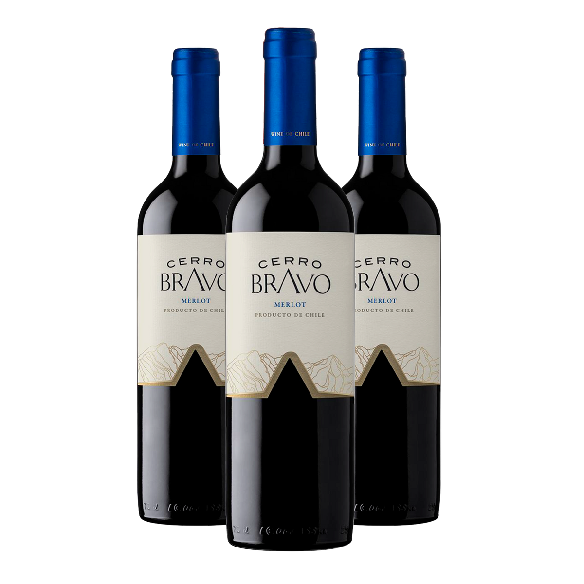 Kit 3 Cerro Bravo Merlot