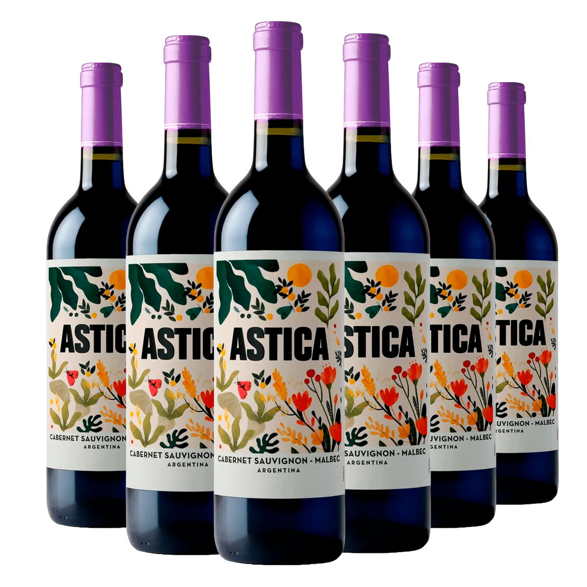 Kit 6 Trapiche Astica Cabernet Sauvignon