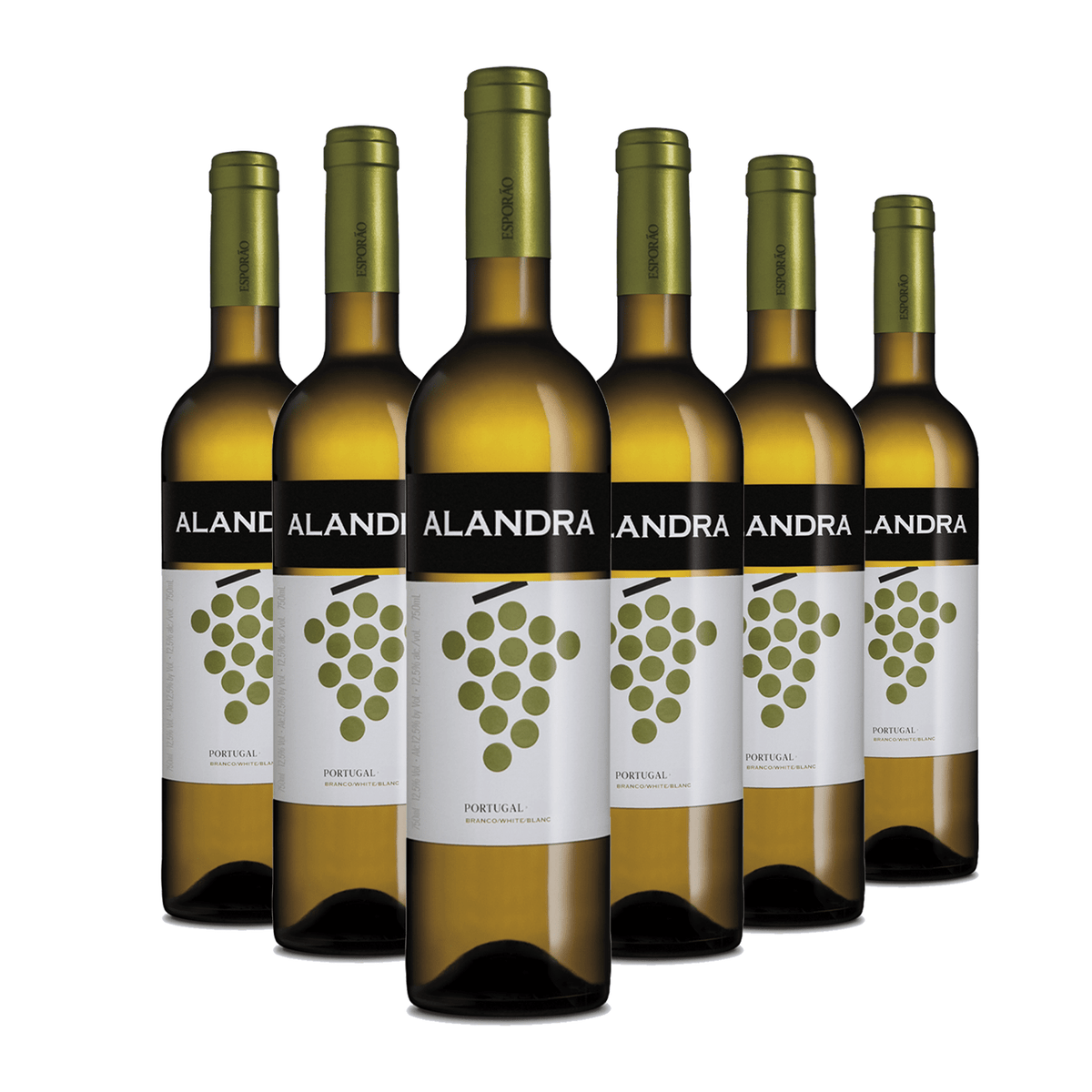 Kit 6 Alandra Branco