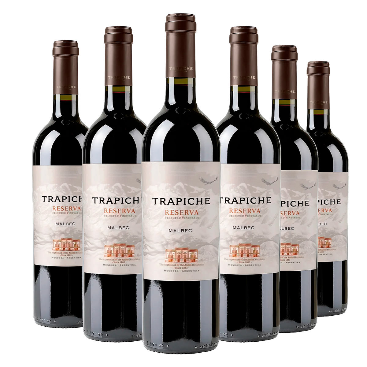 Kit 6 Trapiche Reserva Malbec