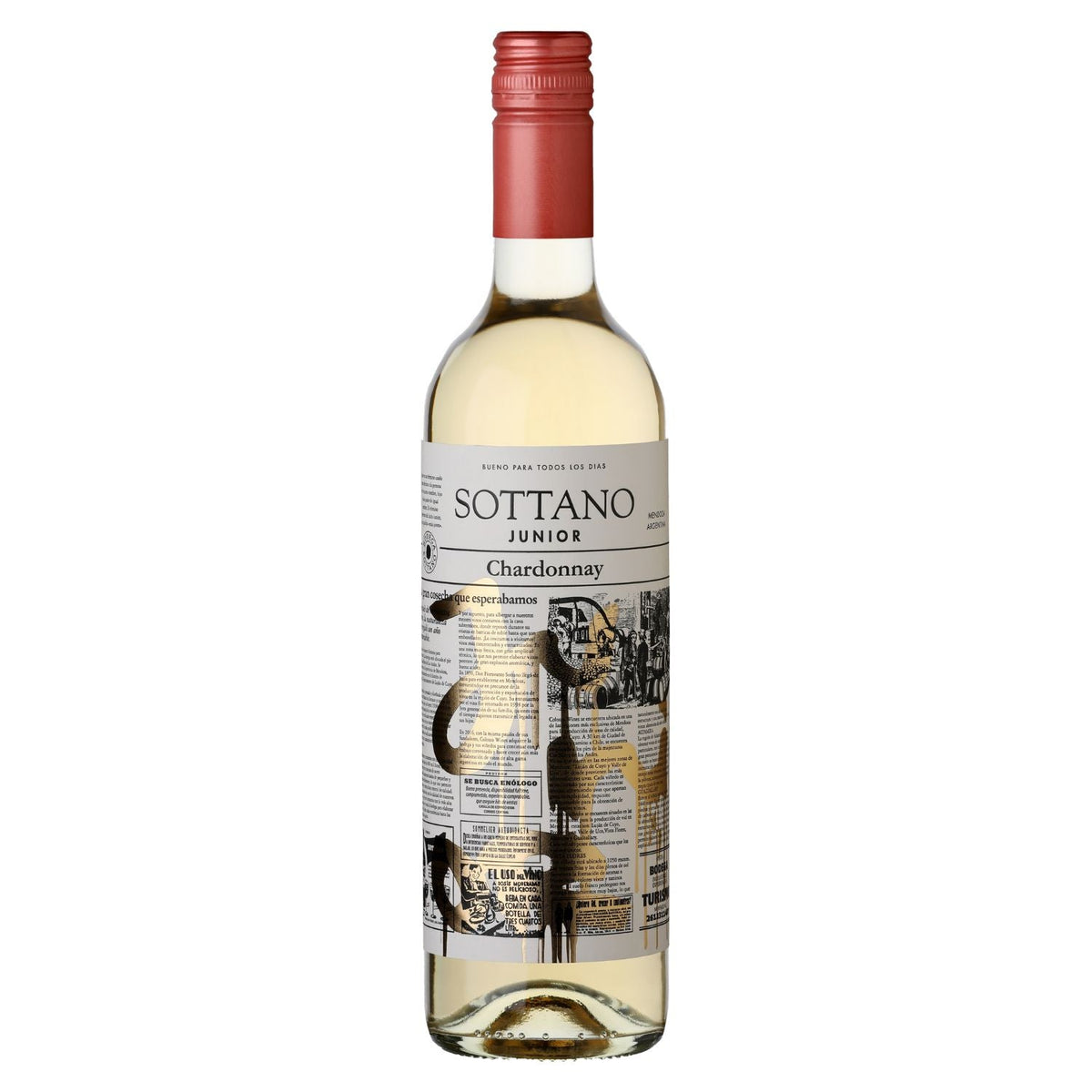Sottano Junior Chardonnay