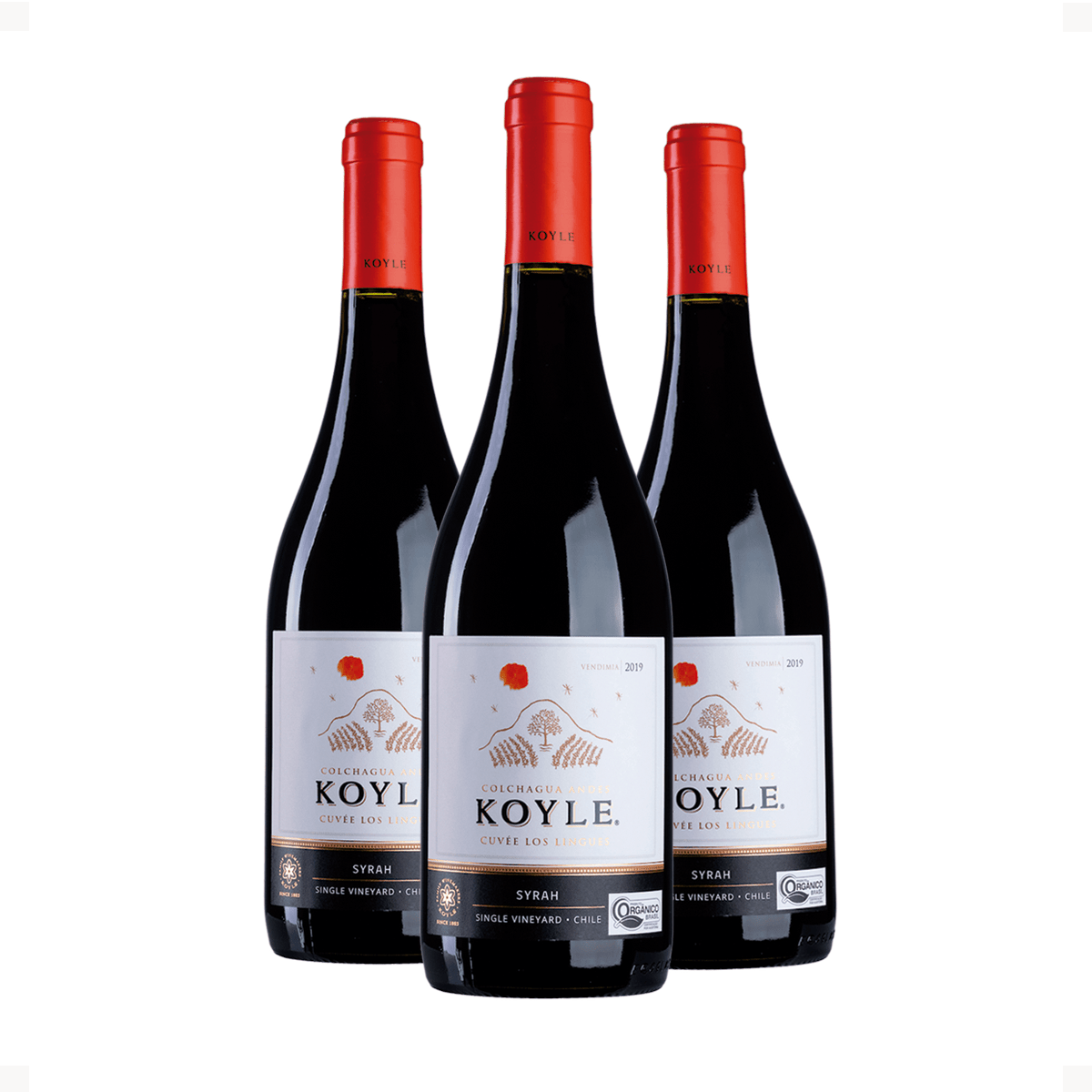 Kit 3 Koyle Cuvée Los Lingues Syrah