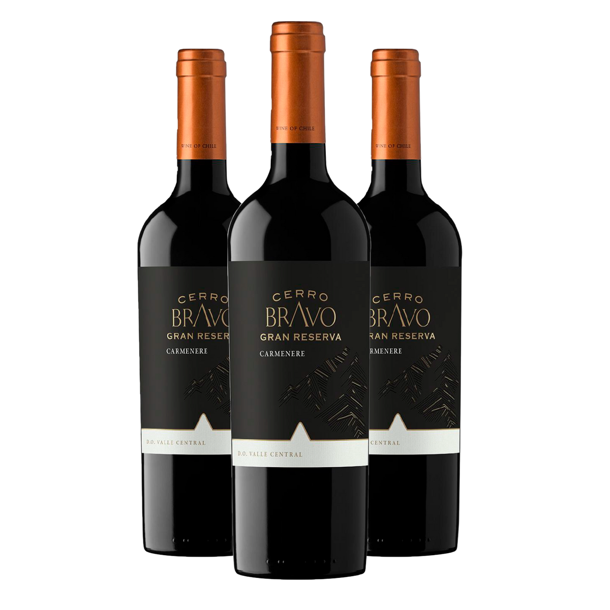 Kit 3 Cerro Bravo Gran Reserva Carménère