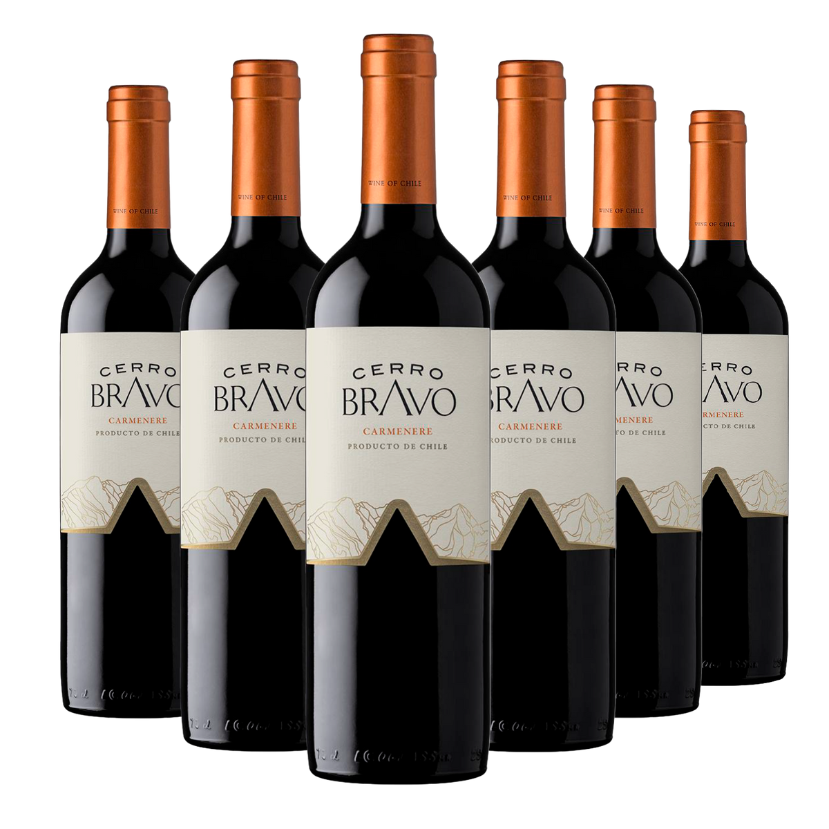Kit 6 Cerro Bravo Carménère