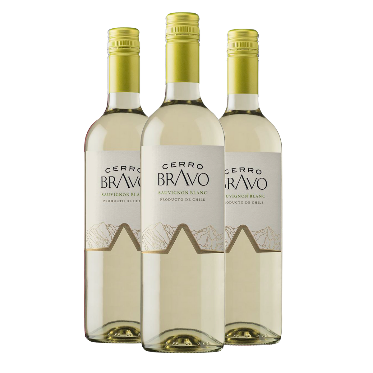 Kit 3 Cerro Bravo Sauvignon Blanc
