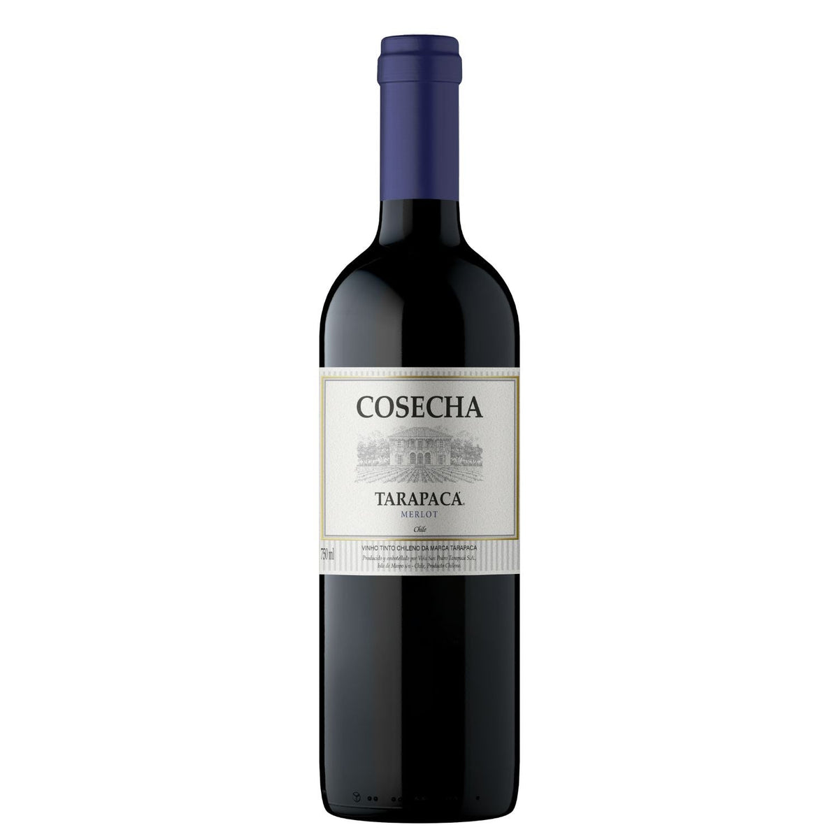 Tarapacá Cosecha Merlot
