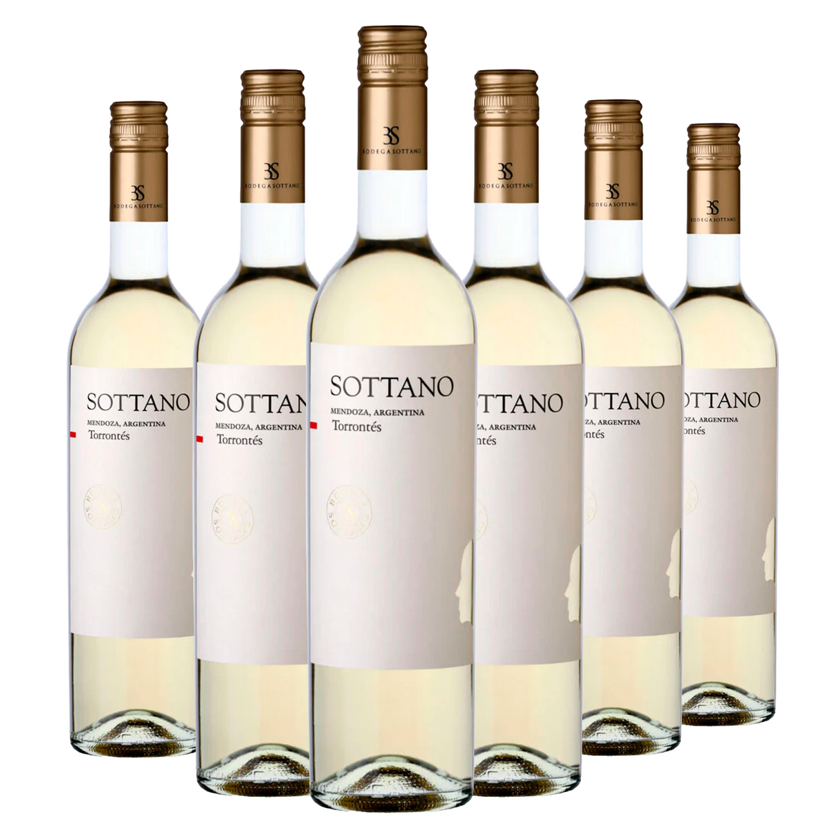 Kit 6 Sottano Clássico Torrontés