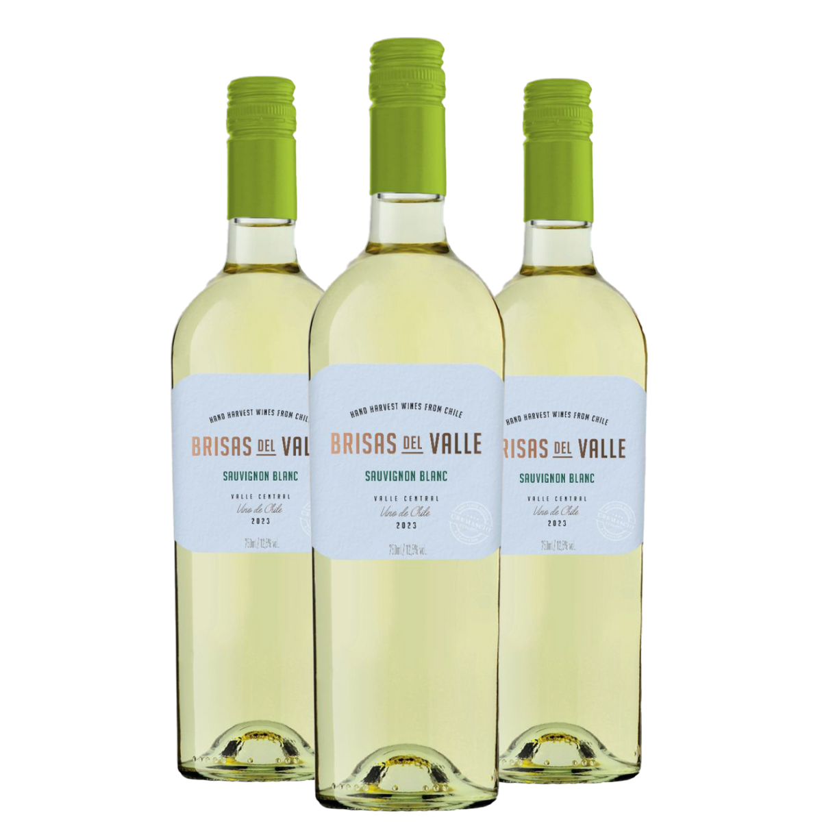 Kit 3 Brisas Del Valle Sauvignon Blanc