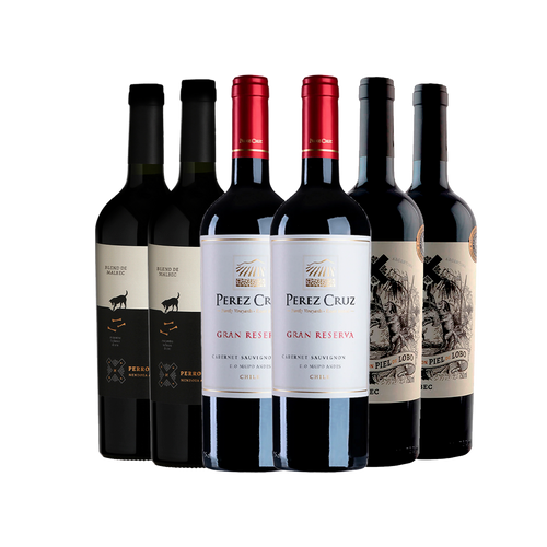Kit 6 Tintos Seleção Distinta