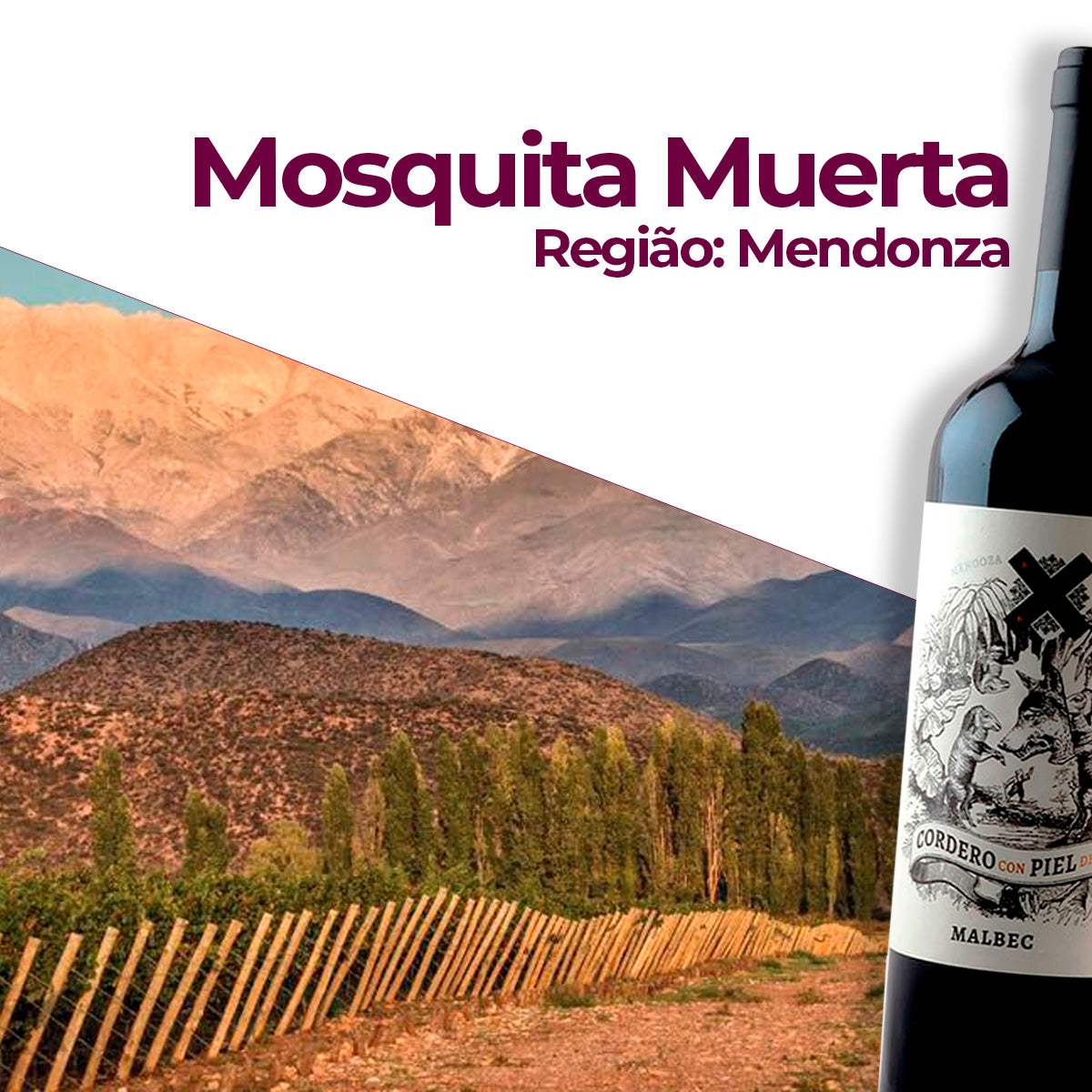 Kit 4 Cordero Con Piel de Lobo Malbec