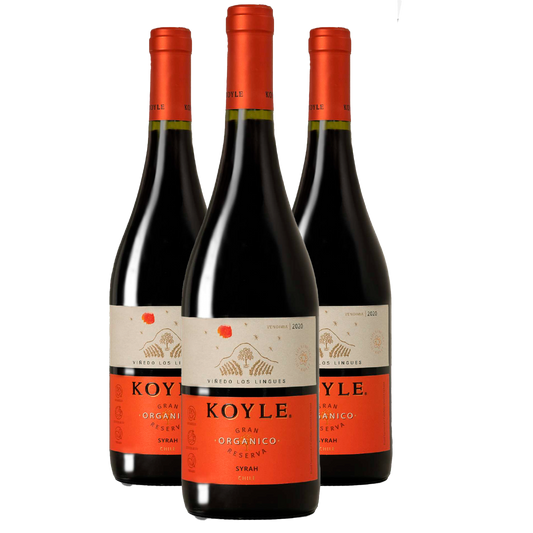 Kit 3 Koyle Gran Reserva Syrah
