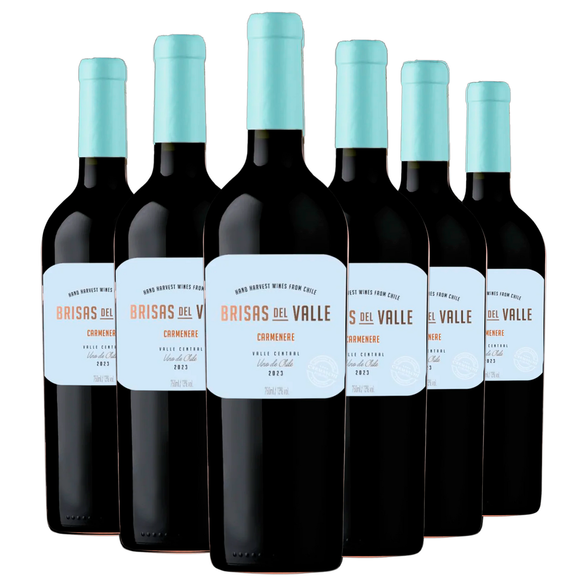 Kit 6 Brisas Del Valle Carménère