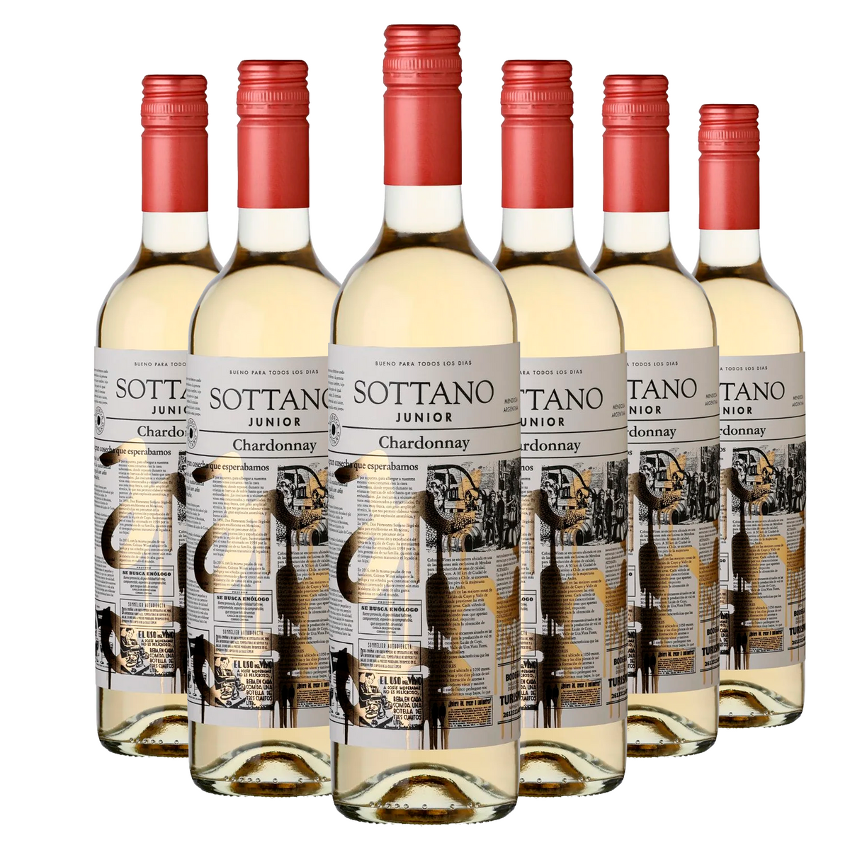 KIT 6 Sottano Junior Chardonnay