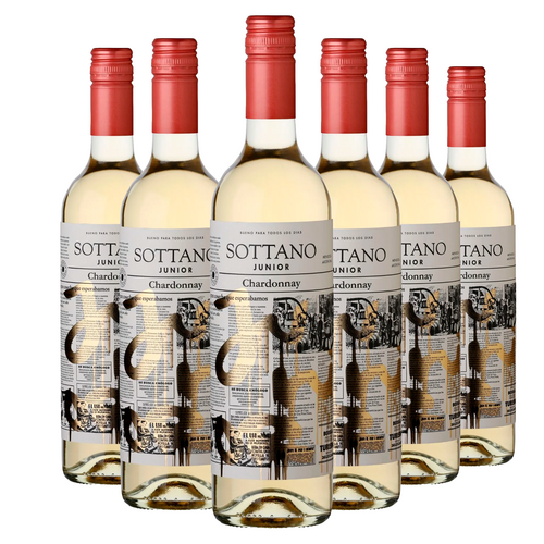 KIT 6 Sottano Junior Chardonnay