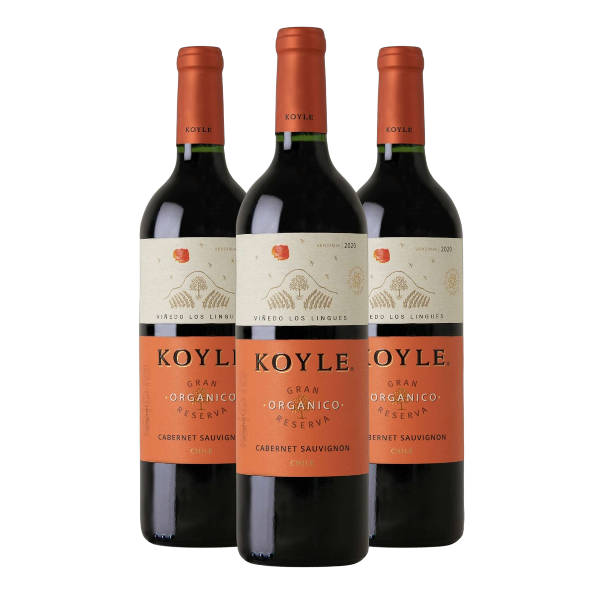 Kit 3 Koyle Gran Reserva Cabernet Sauvignon