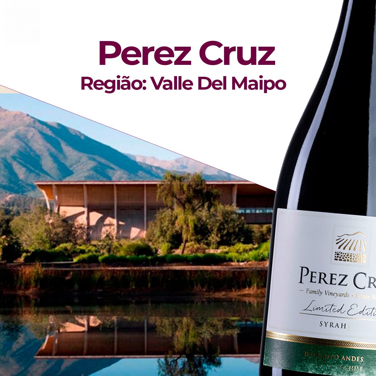 Kit 6 Perez Cruz Limited Edition Syrah