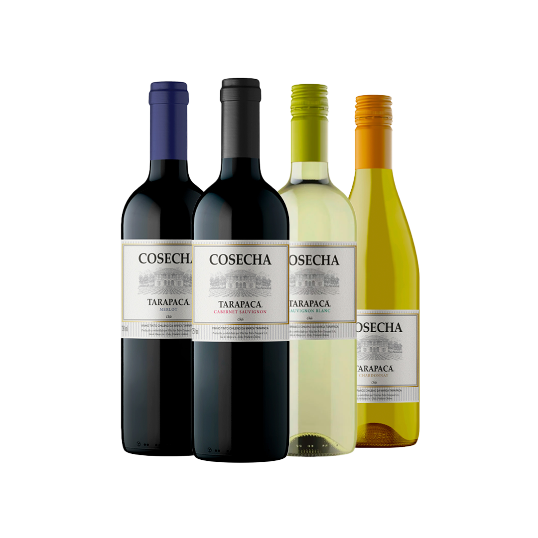 Kit Coleção Tarapacá Cosecha