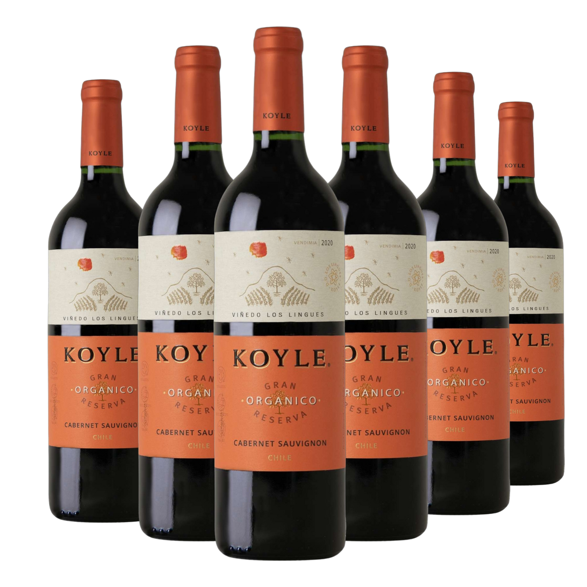Kit 6 Koyle Gran Reserva Cabernet Sauvignon