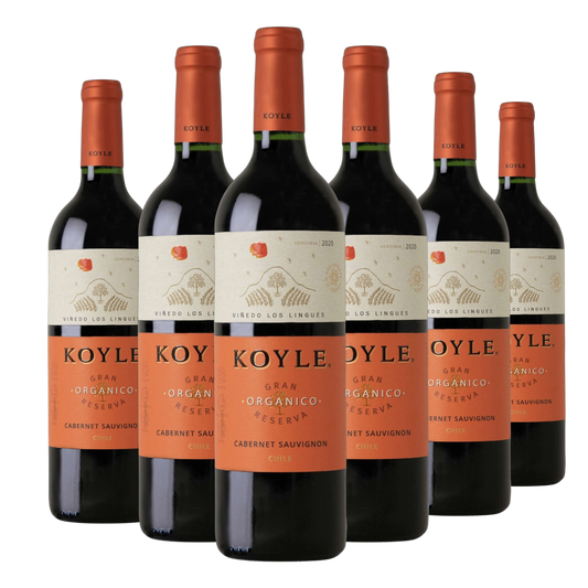 Kit 6 Koyle Gran Reserva Cabernet Sauvignon