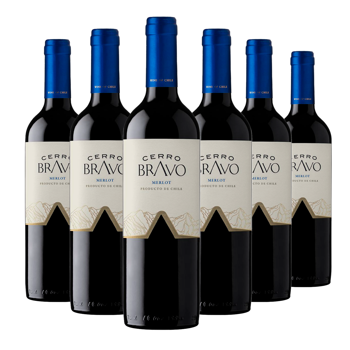 Kit 6 Cerro Bravo Merlot