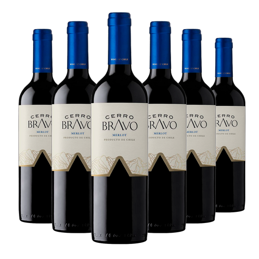 Kit 6 Cerro Bravo Merlot