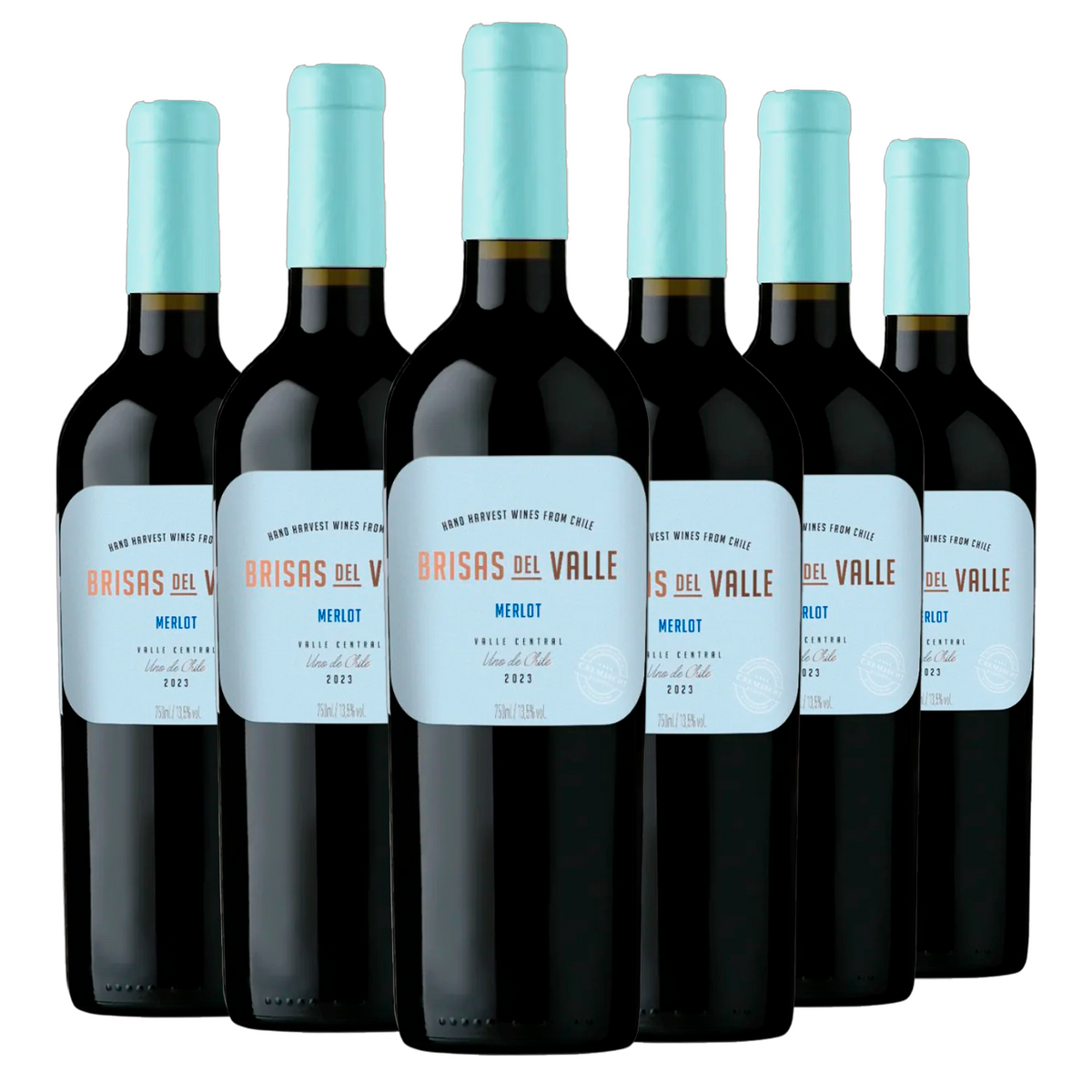 Kit 6 Brisas Del Valle Merlot