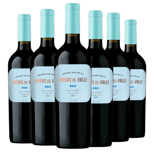 Kit 6 Brisas Del Valle Merlot