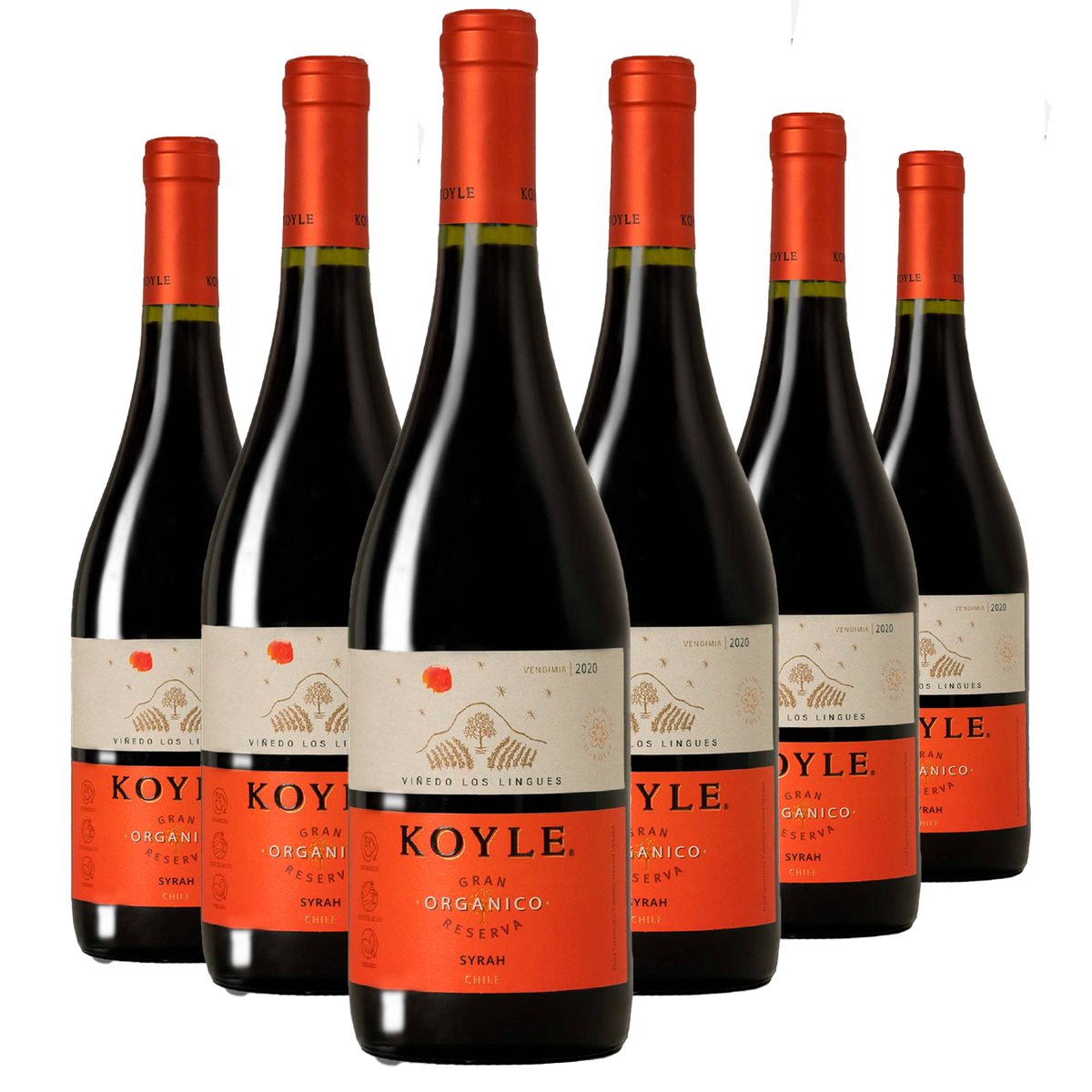 Kit 6 Koyle Gran Reserva Syrah