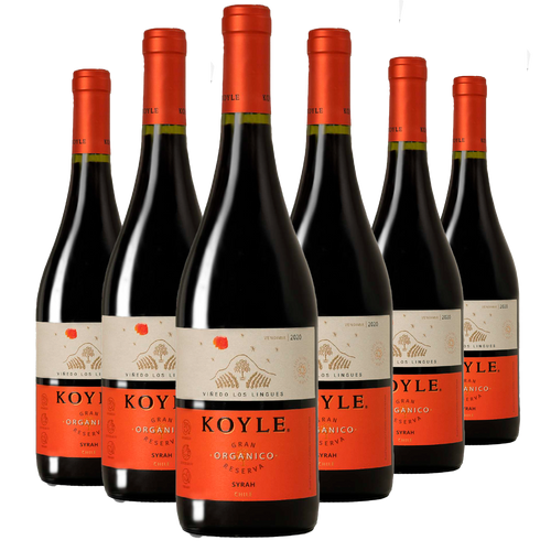 Kit 6 Koyle Gran Reserva Syrah