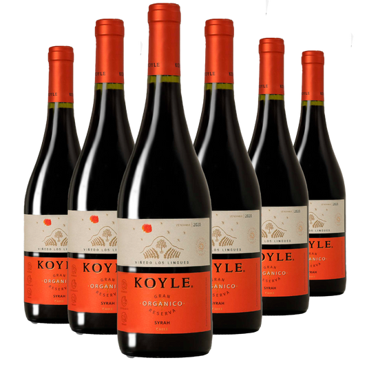 Kit 6 Koyle Gran Reserva Syrah