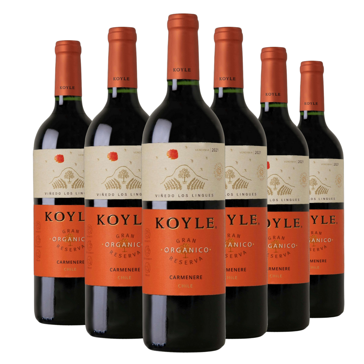 Kit 6 Koyle Gran Reserva Carménère