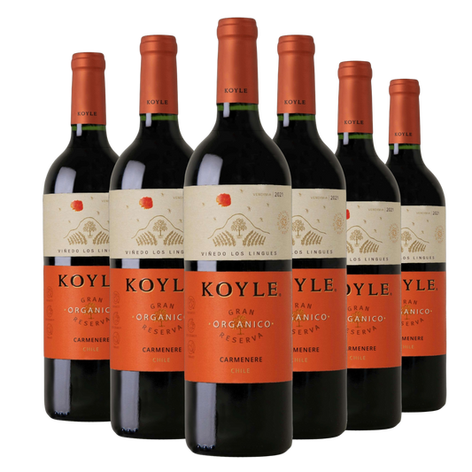 Kit 6 Koyle Gran Reserva Carménère