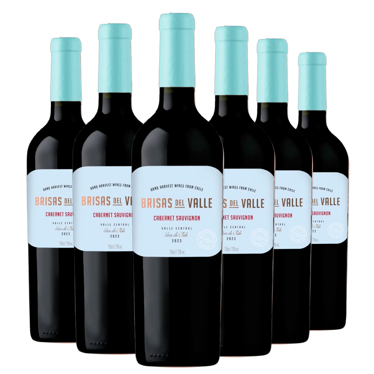 Kit 6 Brisas Del Valle Cabernet Sauvignon