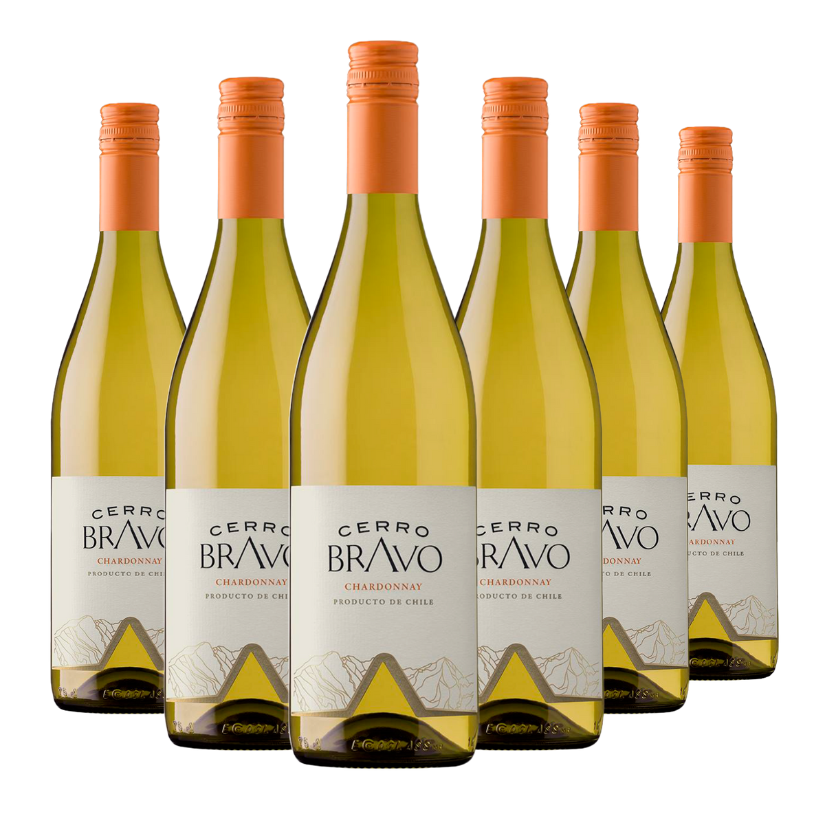Kit 6 Cerro Bravo Chardonnay