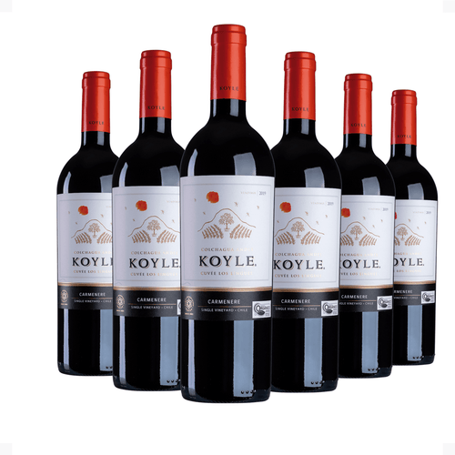 Kit 6 Koyle Cuvée Los Lingues Carménère