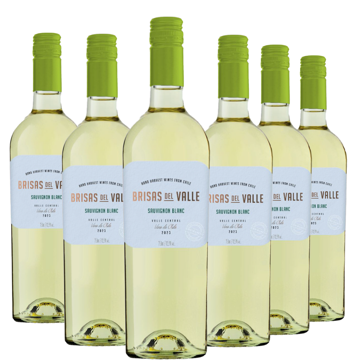 Kit 6 Brisas del Valle Sauvignon Blanc