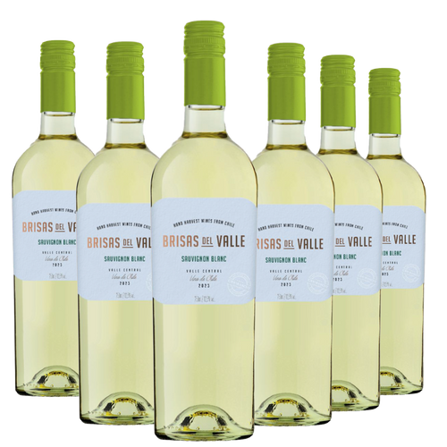 Kit 6 Brisas del Valle Sauvignon Blanc