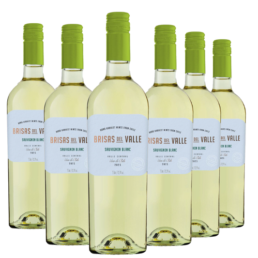 Kit 6 Brisas del Valle Sauvignon Blanc