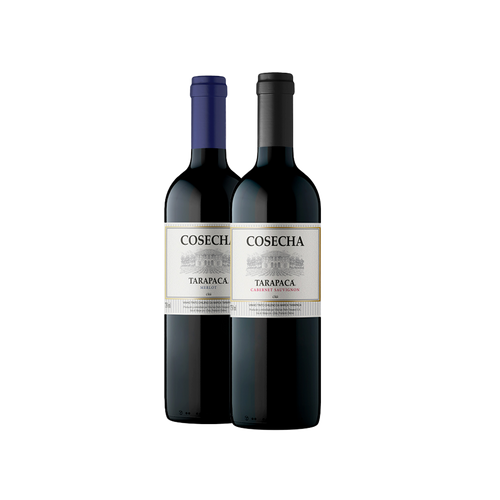 Duo Tintos Tarapacá Cosecha