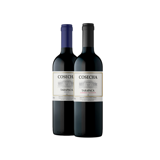 Duo Tintos Tarapacá Cosecha