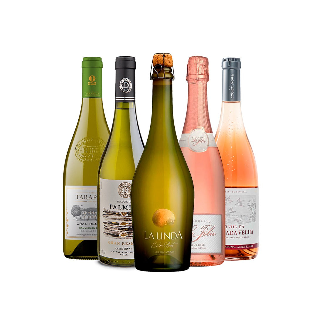 Kit Vinhos Verão Premium