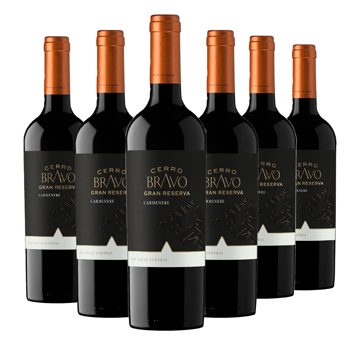 Kit 6 Cerro Bravo Gran Reserva Carménère