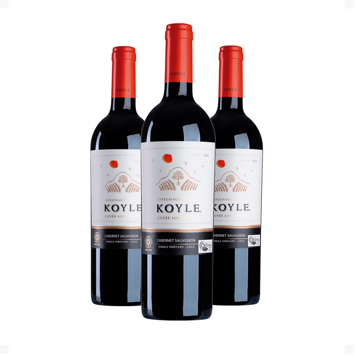 Kit 3 Koyle Cuvée Los Lingues Cabernet Sauvignon