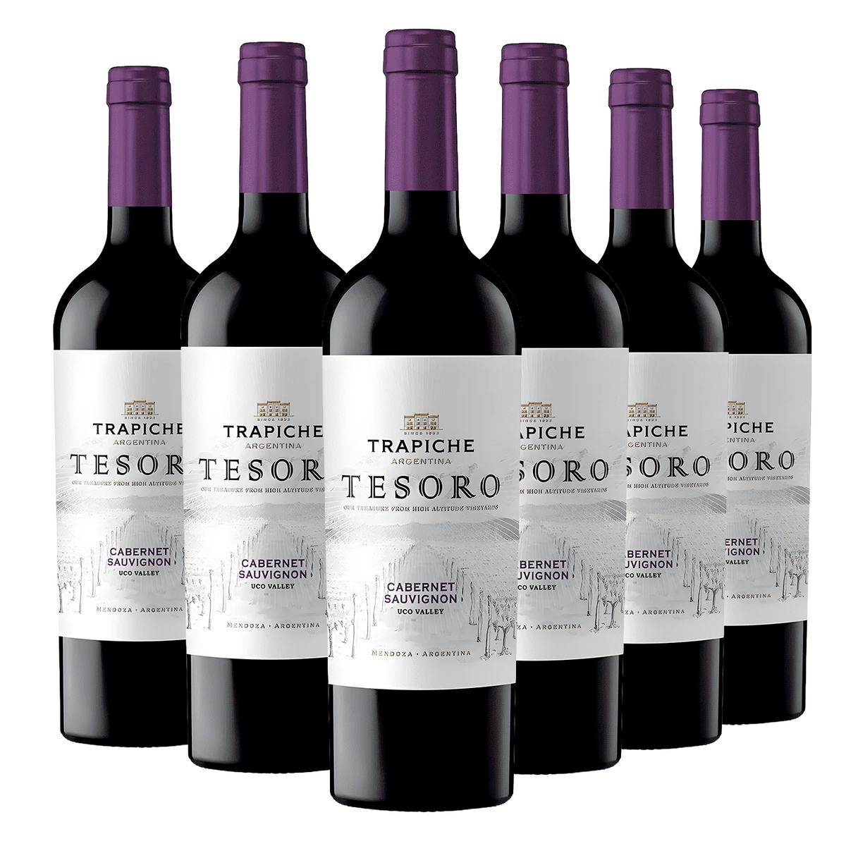 Kit 6 Trapiche Tesoro Cabernet Sauvignon
