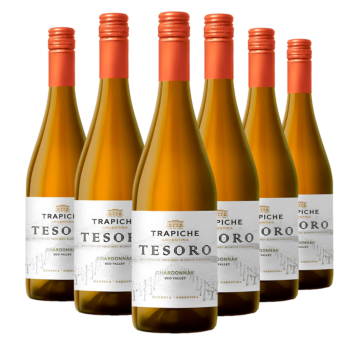 Kit 6 Trapiche Tesoro Chardonnay