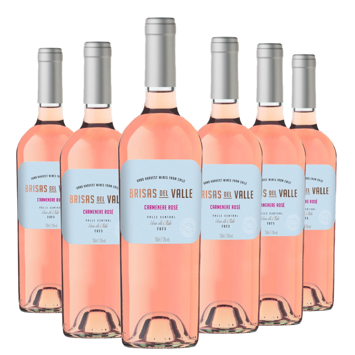 Kit 6 Brisas del Valle Rosé