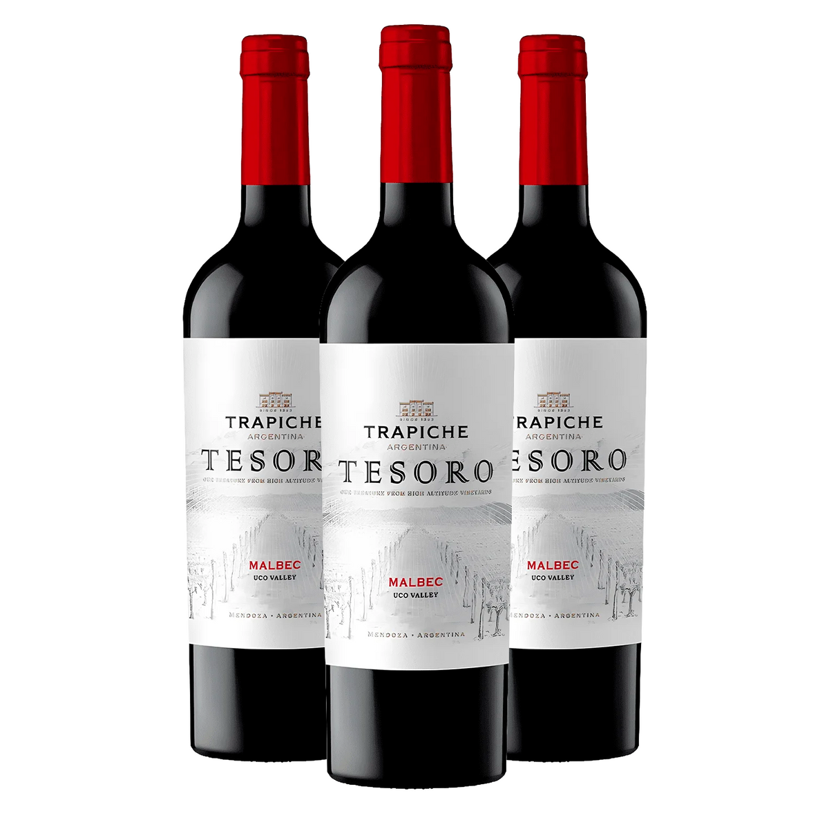 Kit 3 Trapiche Tesoro Malbec